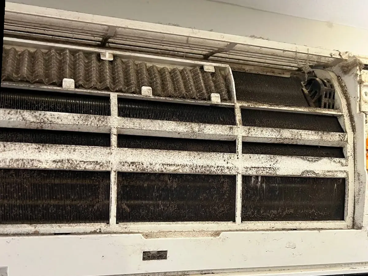 Wall-mounted unit with black mold speckled across its open face and grille.
